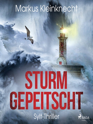 cover image of Sturmgepeitscht